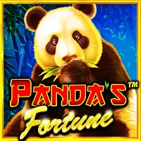 pp image